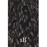 Fashion Source EZ Lace Jewel Synthetic Wig