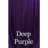 Fashion Source EZ Lace Karma Synthetic Wig
