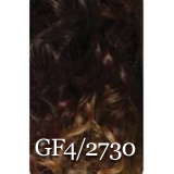 Fashion Source EZ Lace Janet Synthetic Wig