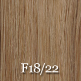 Fashion Source STW Human 22" Extensions