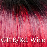 Fashion Source EZ Lace Karma Synthetic Wig