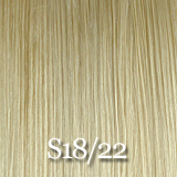 Fashion Source STW Human 22" Extensions