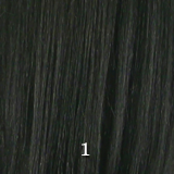 Mane Concept Brown Sugar BS207 Lace-front Human Wig