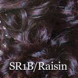 Mane Concept Brown Sugar BS505 Vienna Lace-front Human Wig