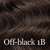 Outre Velvet Indian Remi 16" Extensions